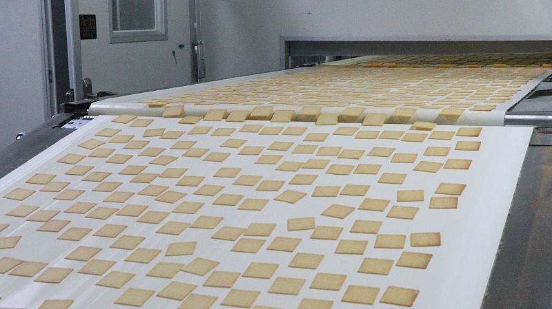 PT��Ѷ-��������