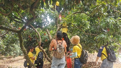 ���縣����PT��Ѷ��֯ժ��֦�